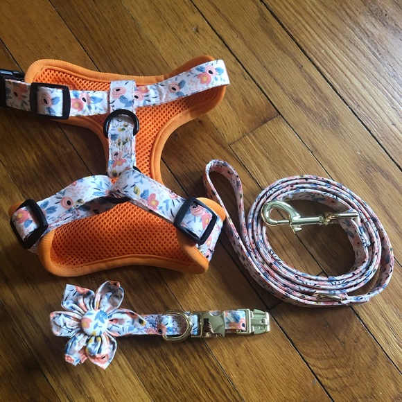 Beirui Cute Girl Dog Collars, Harnesses & Leashes Set - Size XS - Picture 2 of 10
